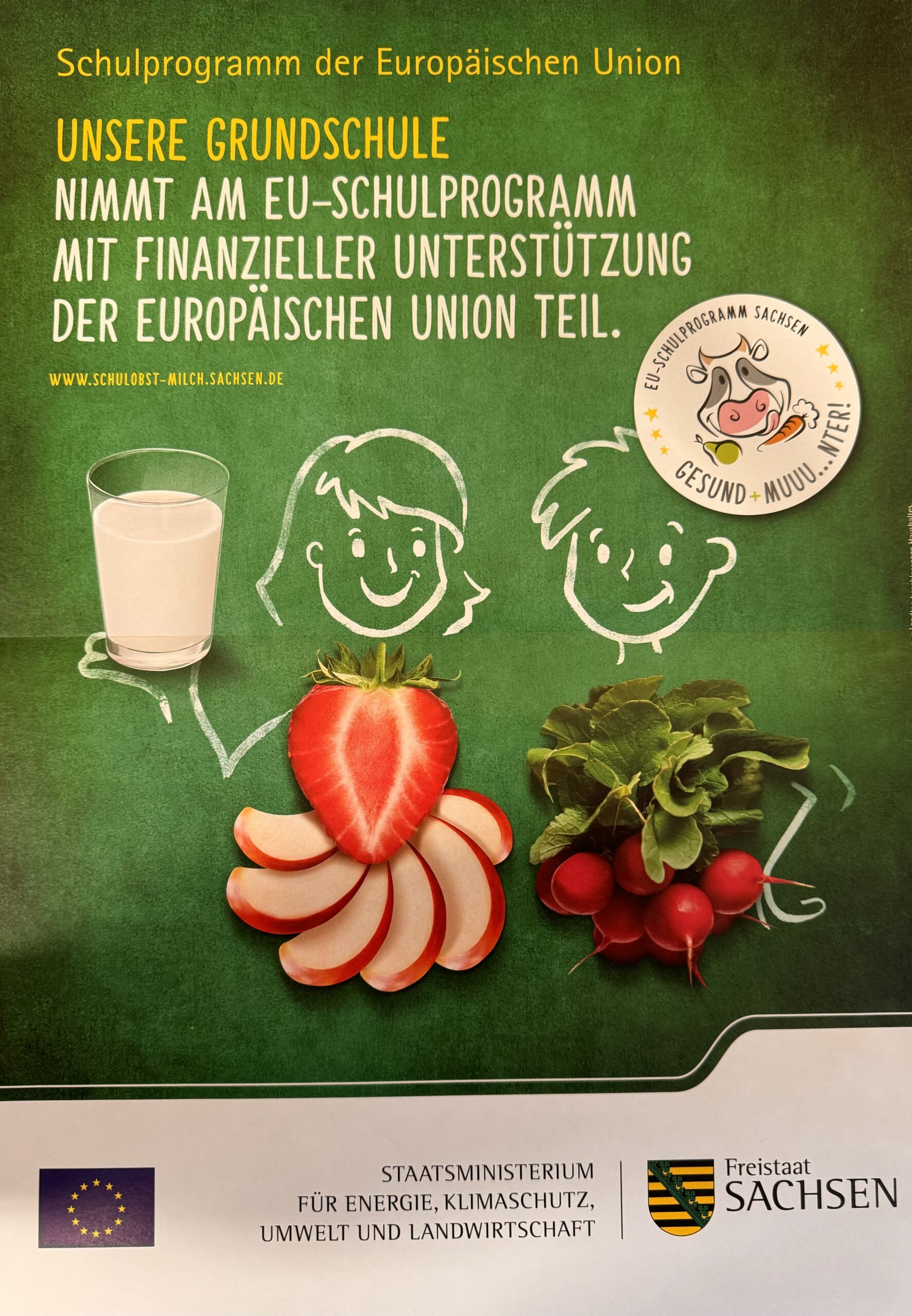 Flyer Schulprogramm der EU